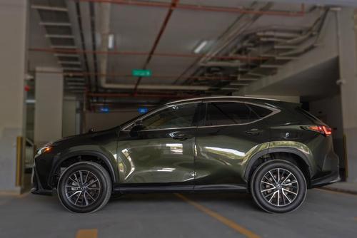 Lexus NX 2024