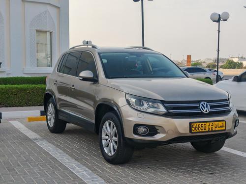 Volkswagen Tiguan 2013