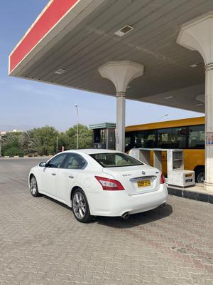 Nissan Maxima 2011