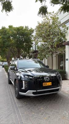 Hyundai Palisade 2024