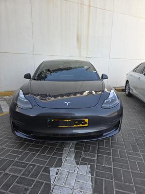 تسلا موديل 3 2023