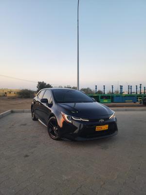 تويوتا كورولا 2019