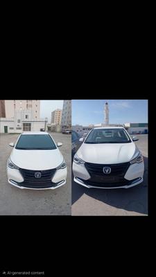 شانجان ألسفن 2025