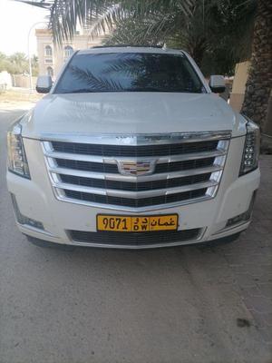 كاديلاك اسكاليد 2016