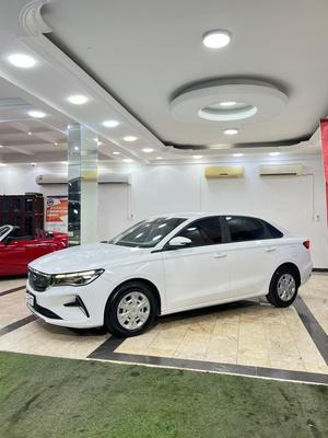 Geely Other 2024