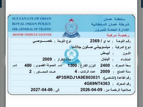 ميتسوبيشي أخرى 2009