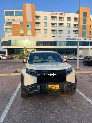 Byd Other 2025