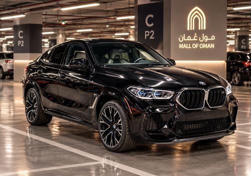BMW X6 2023