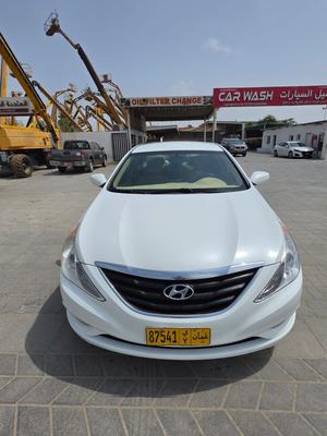 Hyundai Sonata 2013