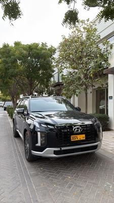 Hyundai Palisade 2024